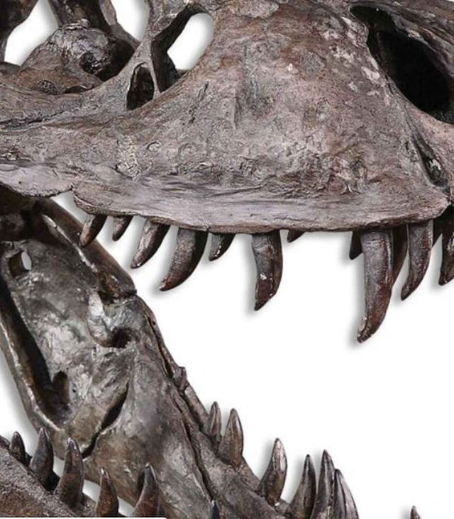 Uttermost Metallic Chestnut Brown Tyrannosaurus Sculpture-2