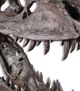 Uttermost Metallic Chestnut Brown Tyrannosaurus Sculpture-2