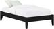 Coaster® Hounslow Black Twin Platform Bed-0