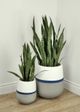 Le Present Belly Half/Half White And Blue 12" Planter-4