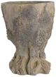 Currey & Company Old Growth Dark Brown Small Planter-3