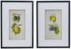 A & B Home 2-Piece Botanical Wall Art Set-1