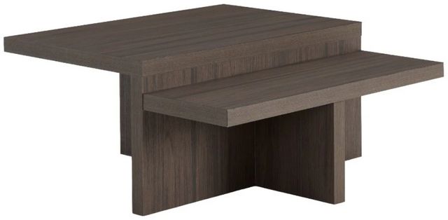 Signature Design by Ashley® Zendex 2-Piece Dark Brown Occasional Table Set-1