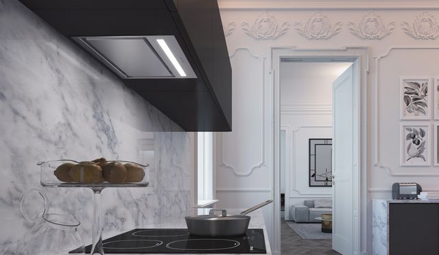 Faber Inca Lux Plus 28" Stainless Steel Insert Range Hood-1