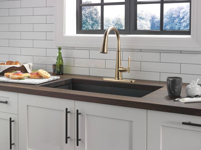 Delta Emmeline® Lumicoat® Champagne Bronze Single Handle Pull-Down Kitchen Faucet -1