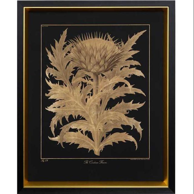 Stylecraft Cardoon flower Black/Gold Wall Art-0
