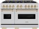 ZLINE Classic Autograph Edition 48" Stainless Steel Pro Style Dual Fuel Range with Polished Gold Accents-0