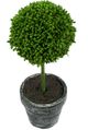 A & B Home 3-Piece Charcoal/Green Mini Faux Potted Boxwood Topiaries Set-1