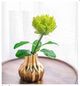 A & B Home Green 28" Faux Pincushion Protea Stem-3