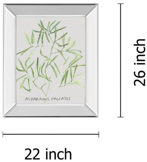 Classy Living Katrien Soeffers Asparogus Falcatus Wall Art-2