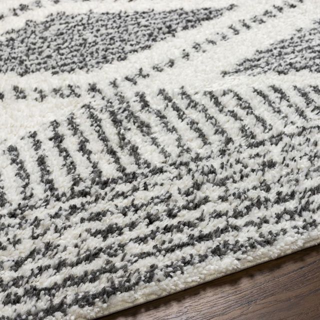Surya Deluxe Shag Cream/Charcoal 5'x7' Area Rug-2