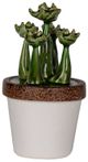 A & B Home Brown/Green/White Ceramic Plant Decorate-0