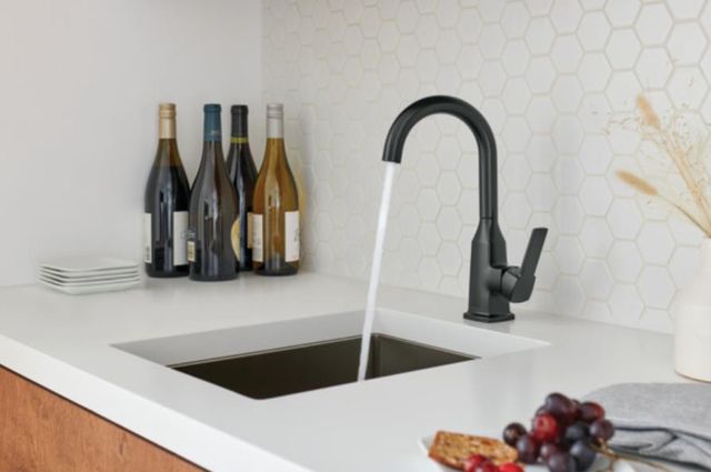 Peerless Ezra® Matte Black Single Handle Bar Faucet-2