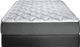 Spring Air Bayou Firm Queen Mattress-2
