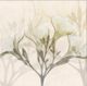 Stylecraft Sunkissed Oleander Beige/Gray/White Wall Art-1