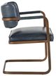 Classic Home Fonda Gold/Ocean Blue Dining Chair-3