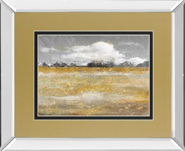 Classy Art Meadow Shimmer Il by Nan Mirror Framed Wall Art-0