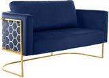 Navy-Gold