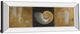 Classy Living Patricia Pinto Seashells Il Wall Art-3