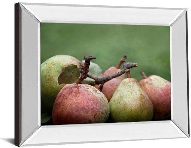 Classy Art Comice Pear Il by Rachel Perry  Mirror Framed Wall Art-1