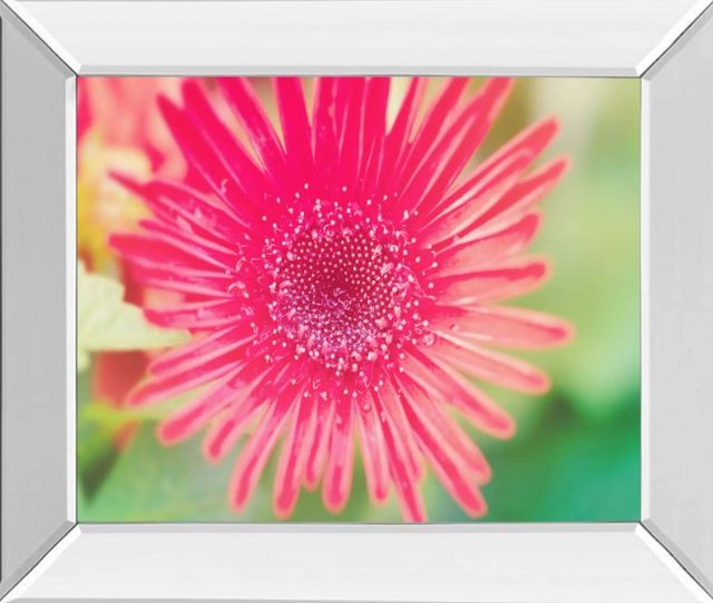 Classy Art Pink Gerbera by Susan Bryant Mirror Framed Wall Art-1