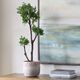 Uttermost® Arbor Aged Ivory Strawberry Tree-1