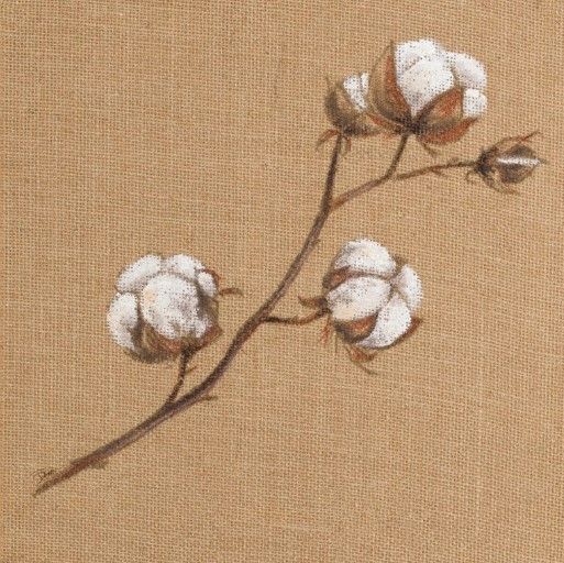 Classy Art Cotton Branch I by Patricia Pinto Wall Art-0