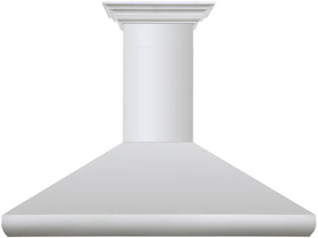 ZLINE 48" Stainless Steel Professional Convertible Vent Wall Mount Range Hood with Crown Molding-0
