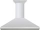 ZLINE 48" Stainless Steel Professional Convertible Vent Wall Mount Range Hood with Crown Molding-0