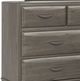Signature Design by Ashley® Triscanna Gray Dresser-1