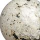 Uttermost® Nouveau 2-Piece Black/White Indoor-Outdoor Sphere Set-3