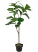 A & B Home Green 43" Potted Fiddle Leaf Tree-1