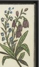 Stylecraft Vintage Floral II Wall Art-1