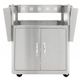 Open Box Blaze® Grills Professional 58.25" Stainless Steel 2 Burner Grill Cart-0