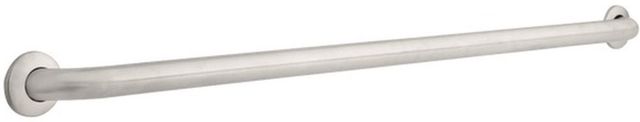 Delta Stainless 48" Concealed Mount Grab Bar-0