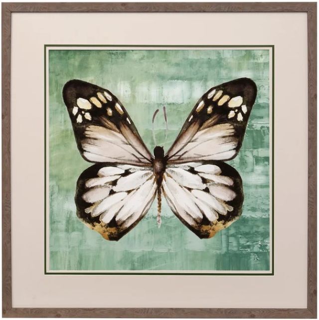 Stylecraft Green Butterfly Framed Print-0