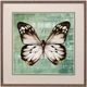 Stylecraft Green Butterfly Framed Print-0