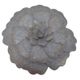 A & B Home Gray La Petite Fleur-0