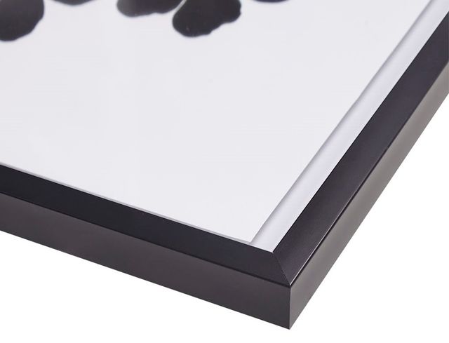 Olliix by Madison Park Floating Floret 2 Pieces Black and White Single Mat Framed Wall Art Set-3