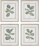 Uttermost® Fiddle Head 4-Piece Leaf Framed Print Art Set-0