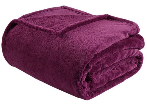 Olliix by Intelligent Design Microlight Plush Purple Twin/Twin XL Oversized Blanket-0