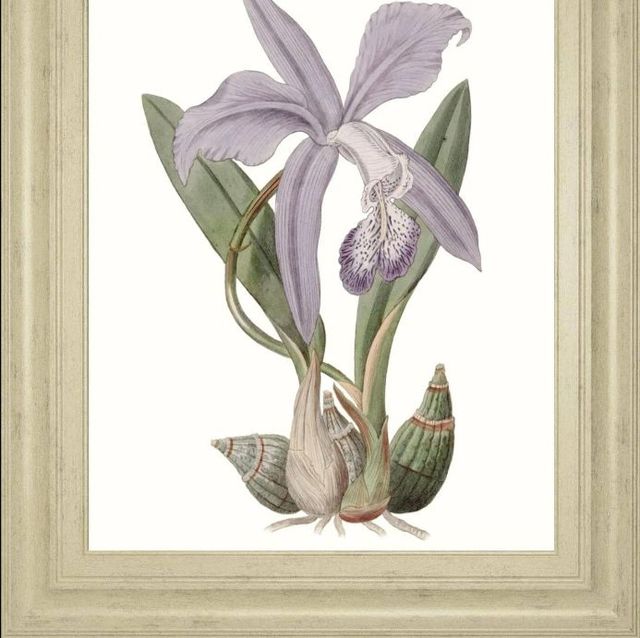 Classy Art Lavender Beauties IV by Edwards Wall Art-1