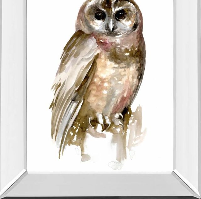 Classy Art Watercolor Owl II by Jennifer Paxton Parker Mirror Framed Wall Art-1