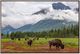 Crestview Bison Valley Wall Art-0
