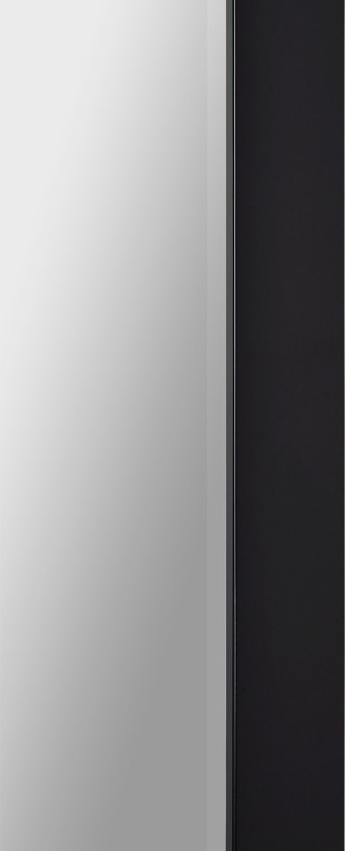 Renwil® Delacorte Black Foil Leaner Mirror-3