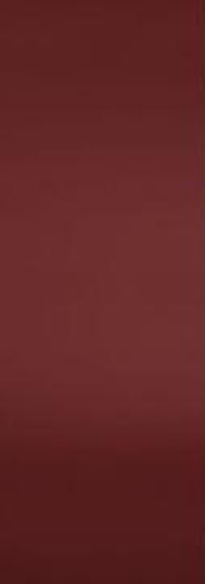 Viking® 36" Reduction Red Column Door Panel-0