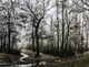 StyleCraft Willow Lawn Creek Wall Art-1
