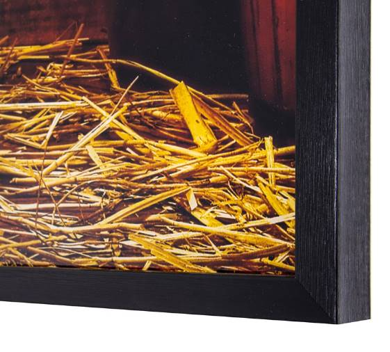 Yosemite Home Decor Deep Rooted Cowboy Wall Art - Thumbnail 5