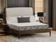 Marvino Plush Twin Mattress-3