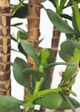 Le Present 31.5" Artificial Jade Green Plant-2